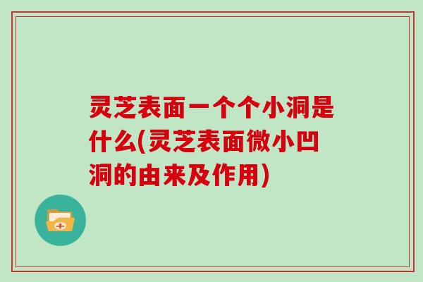 灵芝表面一个个小洞是什么(灵芝表面微小凹洞的由来及作用)-第1张图片-灵芝大师 灵芝表面一个个小洞是什么(灵芝表面微小凹洞的由来及作用)-第1张图片-灵芝大师