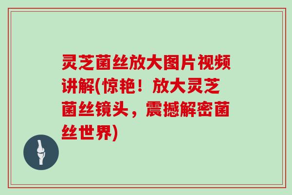 灵芝菌丝放大图片视频讲解(惊艳！放大灵芝菌丝镜头，震撼解密菌丝世界)