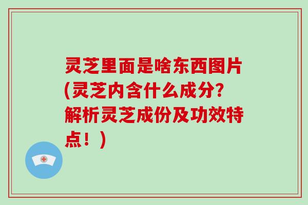 灵芝里面是啥东西图片(灵芝内含什么成分?解析灵芝成份及功效特点!)-第1张图片-灵芝大师 灵芝里面是啥东西图片(灵芝内含什么成分?解析灵芝成份及功效特点!)-第1张图片-灵芝大师