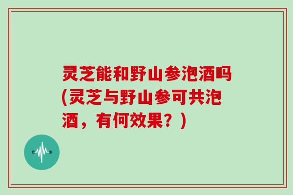 灵芝能和野山参泡酒吗(灵芝与野山参可共泡酒，有何效果？)