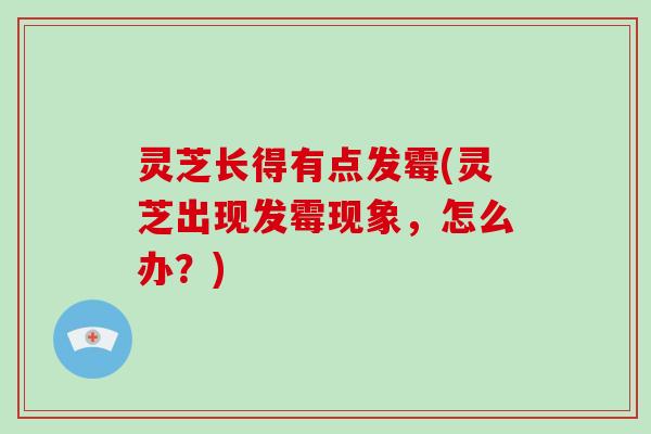 灵芝长得有点发霉(灵芝出现发霉现象，怎么办？)