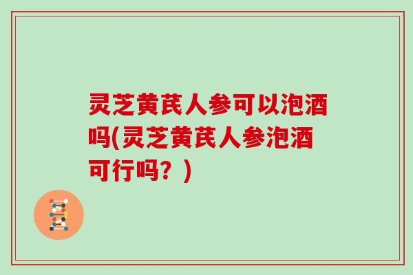 灵芝黄芪人参可以泡酒吗(灵芝黄芪人参泡酒可行吗？)