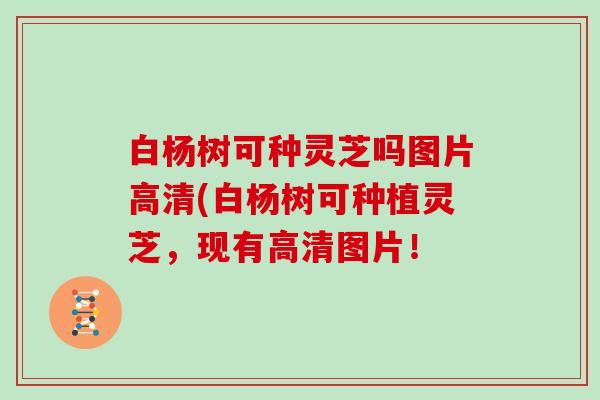 白杨树可种灵芝吗图片高清(白杨树可种植灵芝，现有高清图片！