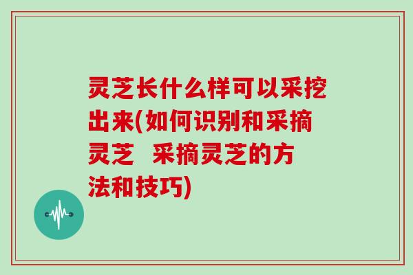 灵芝长什么样可以采挖出来(如何识别和采摘灵芝  采摘灵芝的方法和技巧)