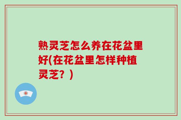 熟灵芝怎么养在花盆里好(在花盆里怎样种植灵芝?)-第1张图片-灵芝大师 熟灵芝怎么养在花盆里好(在花盆里怎样种植灵芝?)-第1张图片-灵芝大师