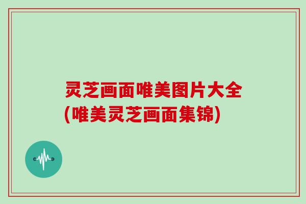 灵芝画面唯美图片大全(唯美灵芝画面集锦)