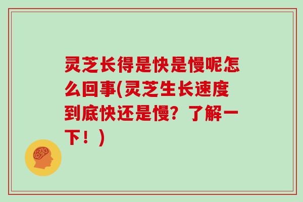 灵芝长得是快是慢呢怎么回事(灵芝生长速度到底快还是慢？了解一下！)