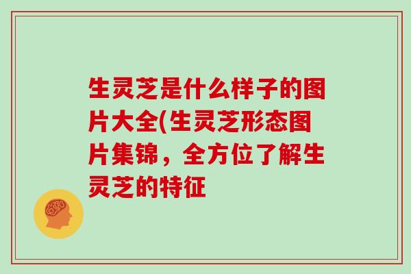 生灵芝是什么样子的图片大全(生灵芝形态图片集锦，全方位了解生灵芝的特征