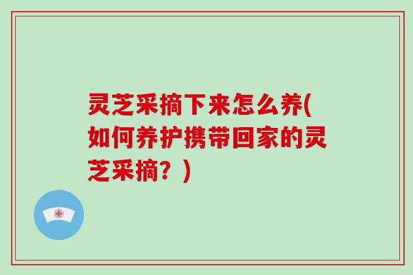 灵芝采摘下来怎么养(如何养护携带回家的灵芝采摘？)