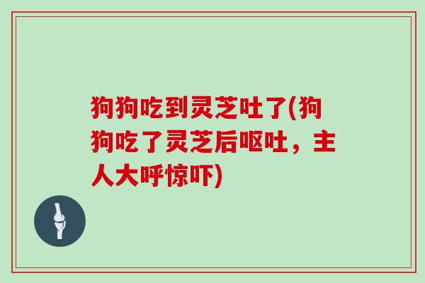 狗狗吃到灵芝吐了(狗狗吃了灵芝后呕吐，主人大呼惊吓)