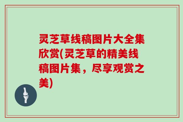 灵芝草线稿图片大全集欣赏(灵芝草的精美线稿图片集，尽享观赏之美)
