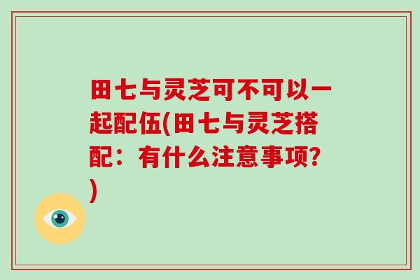 田七与灵芝可不可以一起配伍(田七与灵芝搭配:有什么注意事项?)-第1张图片-灵芝大师 田七与灵芝可不可以一起配伍(田七与灵芝搭配:有什么注意事项?)-第1张图片-灵芝大师