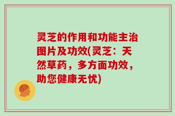 灵芝的作用和功能主治图片及功效(灵芝:天然草药,多方面功效,助您健康无忧)-第1张图片-灵芝大师 灵芝的作用和功能主治图片及功效(灵芝:天然草药,多方面功效,助您健康无忧)-第1张图片-灵芝大师