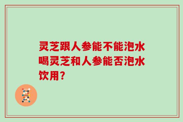 灵芝跟人参能不能泡水喝灵芝和人参能否泡水饮用？