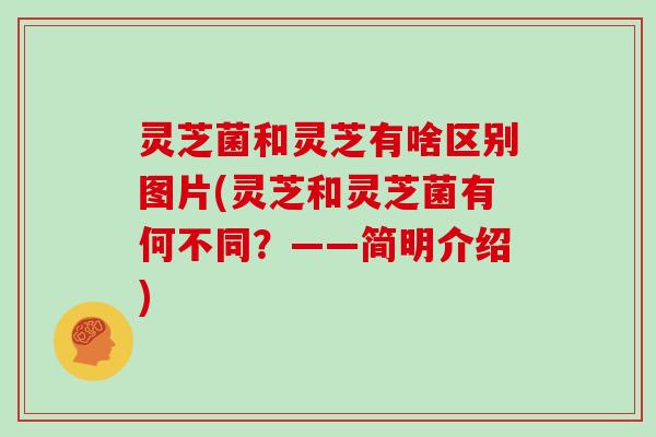 灵芝菌和灵芝有啥区别图片(灵芝和灵芝菌有何不同？——简明介绍)