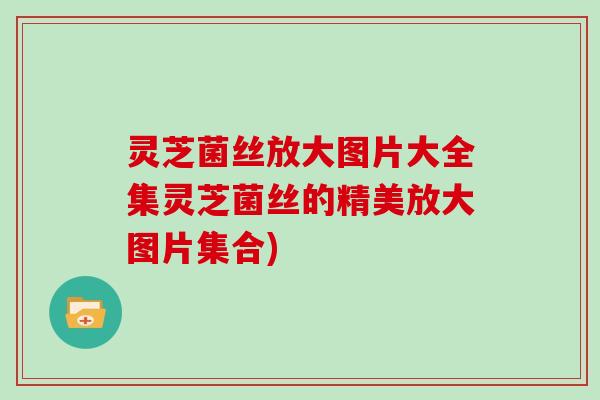 灵芝菌丝放大图片大全集灵芝菌丝的精美放大图片集合)-第1张图片-灵芝大师