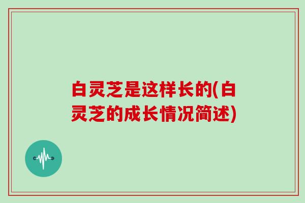 白灵芝是这样长的(白灵芝的成长情况简述)
