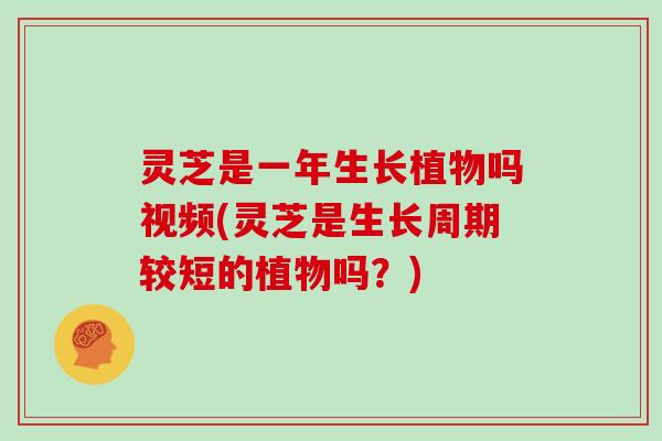 灵芝是一年生长植物吗视频(灵芝是生长周期较短的植物吗？)