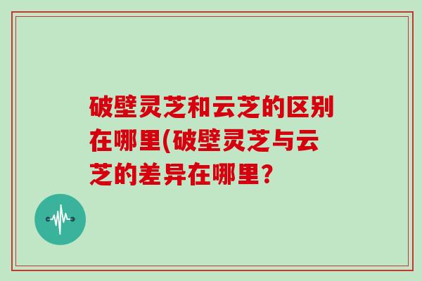 破壁灵芝和云芝的区别在哪里(破壁灵芝与云芝的差异在哪里？