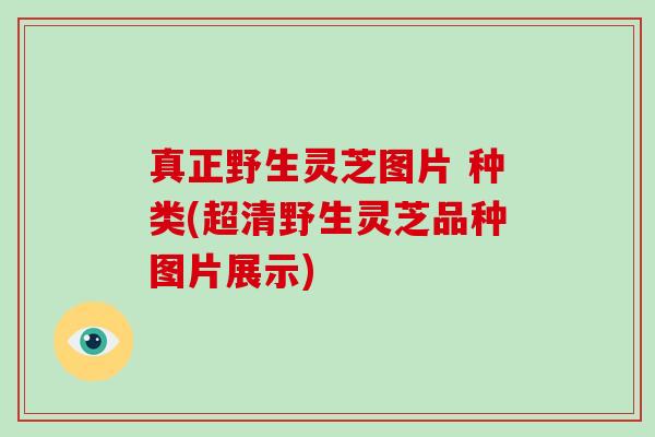 真正野生灵芝图片 种类(超清野生灵芝品种图片展示)