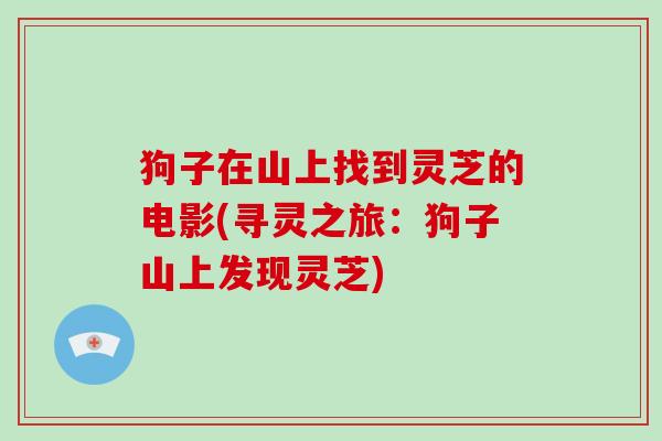 狗子在山上找到灵芝的电影(寻灵之旅：狗子山上发现灵芝)