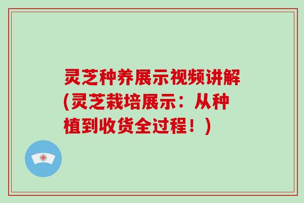 灵芝种养展示视频讲解(灵芝栽培展示：从种植到收货全过程！)
