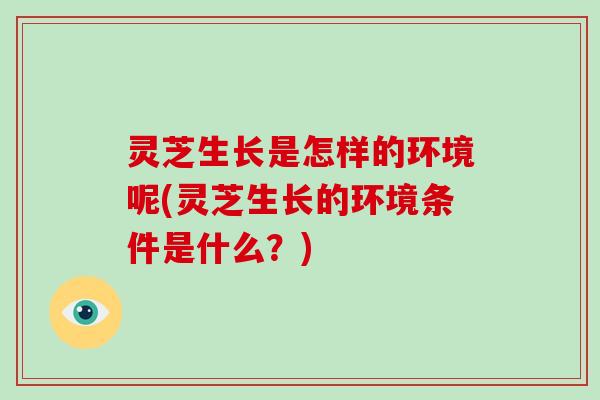 灵芝生长是怎样的环境呢(灵芝生长的环境条件是什么？)