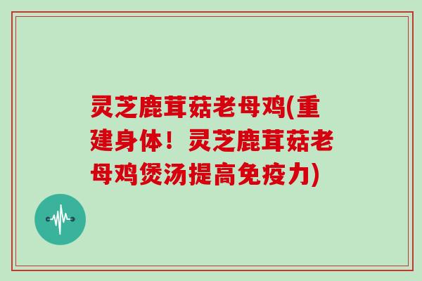 灵芝鹿茸菇老母鸡(重建身体！灵芝鹿茸菇老母鸡煲汤提高免疫力)