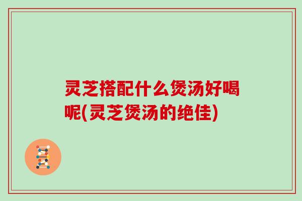 灵芝搭配什么煲汤好喝呢(灵芝煲汤的绝佳)