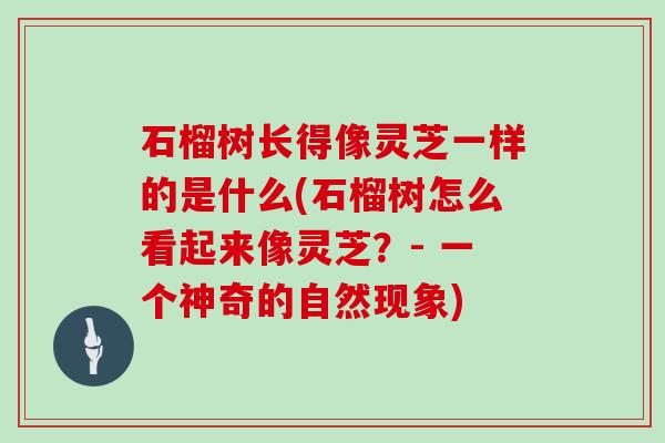 石榴树长得像灵芝一样的是什么(石榴树怎么看起来像灵芝？- 一个神奇的自然现象)