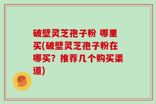 破壁灵芝孢子粉 哪里买(破壁灵芝孢子粉在哪买？推荐几个购买渠道)