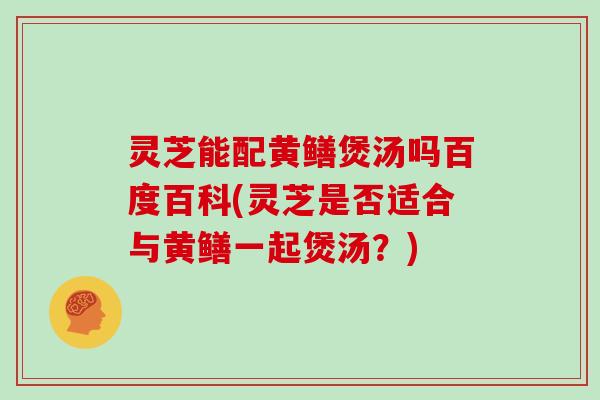 灵芝能配黄鳝煲汤吗百度百科(灵芝是否适合与黄鳝一起煲汤？)