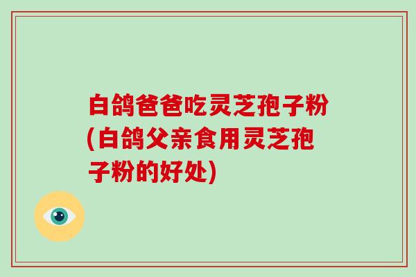 白鸽爸爸吃灵芝孢子粉(白鸽父亲食用灵芝孢子粉的好处)