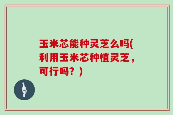 玉米芯能种灵芝么吗(利用玉米芯种植灵芝,可行吗?)-第1张图片-灵芝大师 玉米芯能种灵芝么吗(利用玉米芯种植灵芝,可行吗?)-第1张图片-灵芝大师