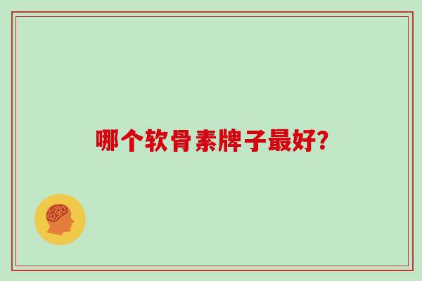 哪个软骨素牌子最好？