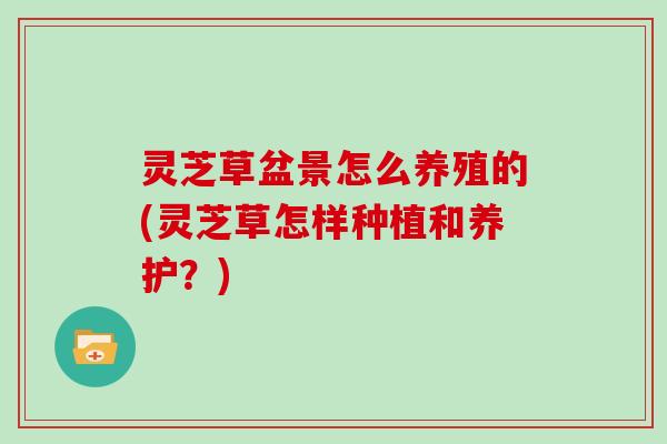 灵芝草盆景怎么养殖的(灵芝草怎样种植和养护？)