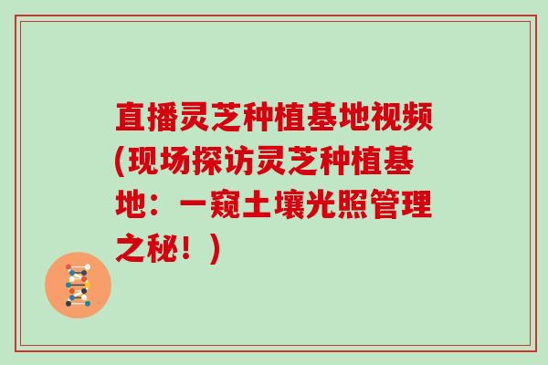 直播灵芝种植基地视频(现场探访灵芝种植基地:一窥土壤光照管理之秘!)-第1张图片-灵芝大师 直播灵芝种植基地视频(现场探访灵芝种植基地:一窥土壤光照管理之秘!)-第1张图片-灵芝大师