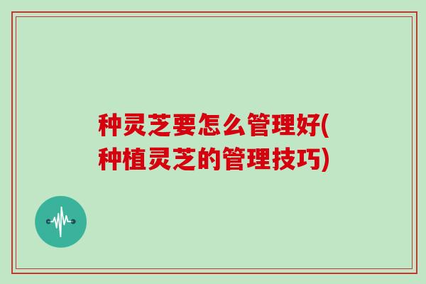 种灵芝要怎么管理好(种植灵芝的管理技巧)-第1张图片-灵芝大师 种灵芝要怎么管理好(种植灵芝的管理技巧)-第1张图片-灵芝大师