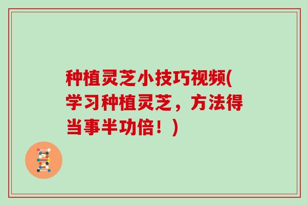 种植灵芝小技巧视频(学习种植灵芝,方法得当事半功倍!)-第1张图片-灵芝大师 种植灵芝小技巧视频(学习种植灵芝,方法得当事半功倍!)-第1张图片-灵芝大师