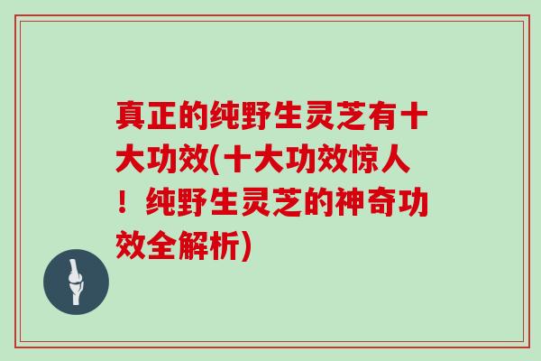 真正的纯野生灵芝有十大功效(十大功效惊人！纯野生灵芝的神奇功效全解析)