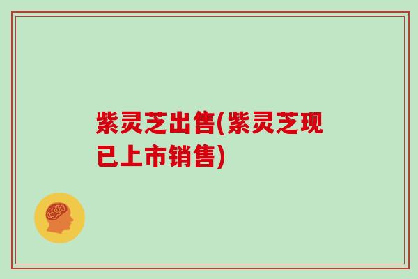 紫灵芝出售(紫灵芝现已上市销售)