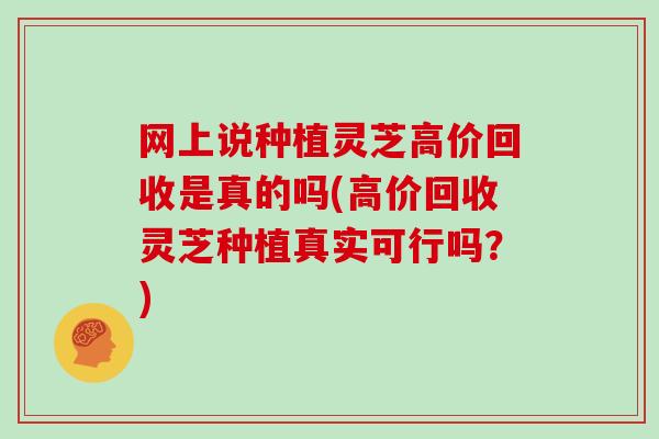 网上说种植灵芝高价回收是真的吗(高价回收灵芝种植真实可行吗?)-第1张图片-灵芝大师 网上说种植灵芝高价回收是真的吗(高价回收灵芝种植真实可行吗?)-第1张图片-灵芝大师