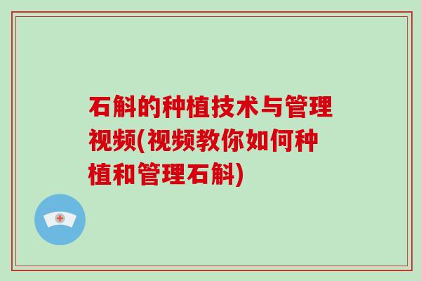 石斛的种植技术与管理视频(视频教你如何种植和管理石斛)