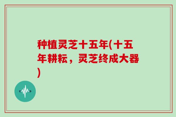 种植灵芝十五年(十五年耕耘,灵芝终成大器)-第1张图片-灵芝大师 种植灵芝十五年(十五年耕耘,灵芝终成大器)-第1张图片-灵芝大师