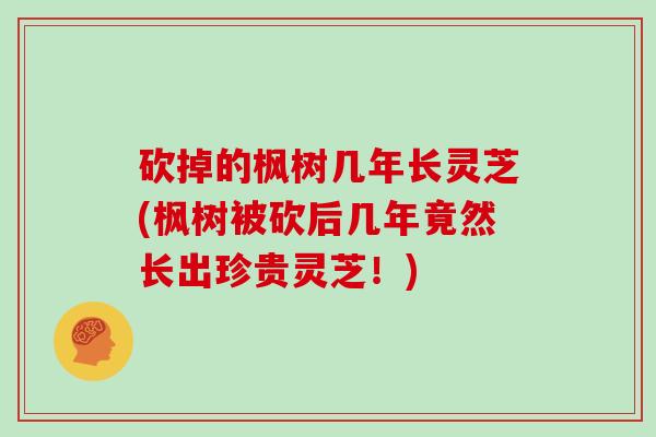 砍掉的枫树几年长灵芝(枫树被砍后几年竟然长出珍贵灵芝！)