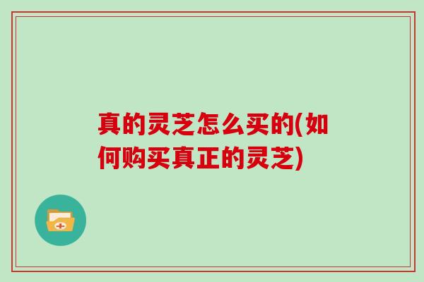 真的灵芝怎么买的(如何购买真正的灵芝)