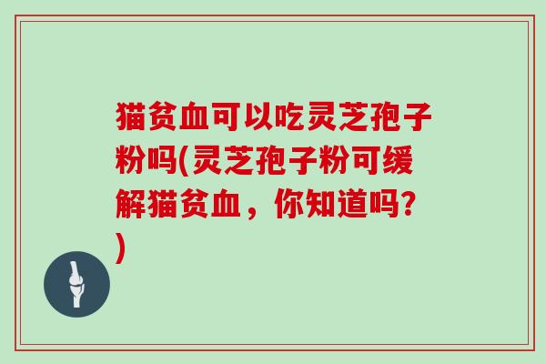 猫贫血可以吃灵芝孢子粉吗(灵芝孢子粉可缓解猫贫血，你知道吗？)