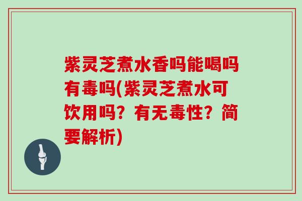 紫灵芝煮水香吗能喝吗有毒吗(紫灵芝煮水可饮用吗？有无毒性？简要解析)