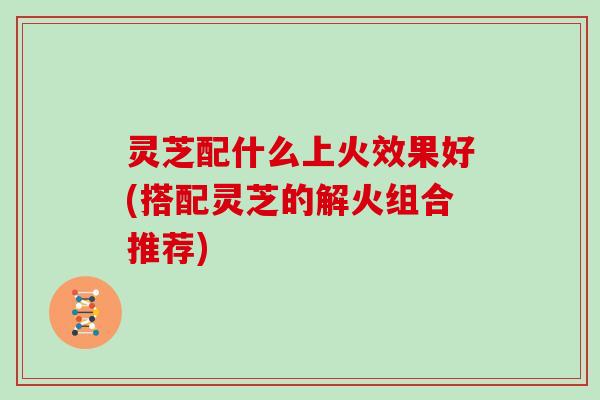 灵芝配什么上火效果好(搭配灵芝的解火组合推荐)
