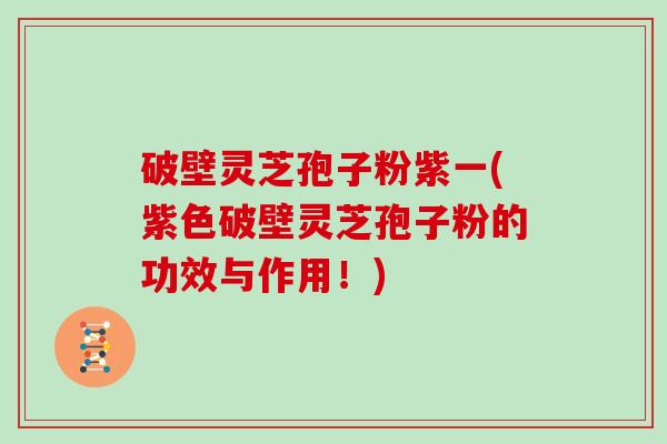 破壁灵芝孢子粉紫一(紫色破壁灵芝孢子粉的功效与作用！)